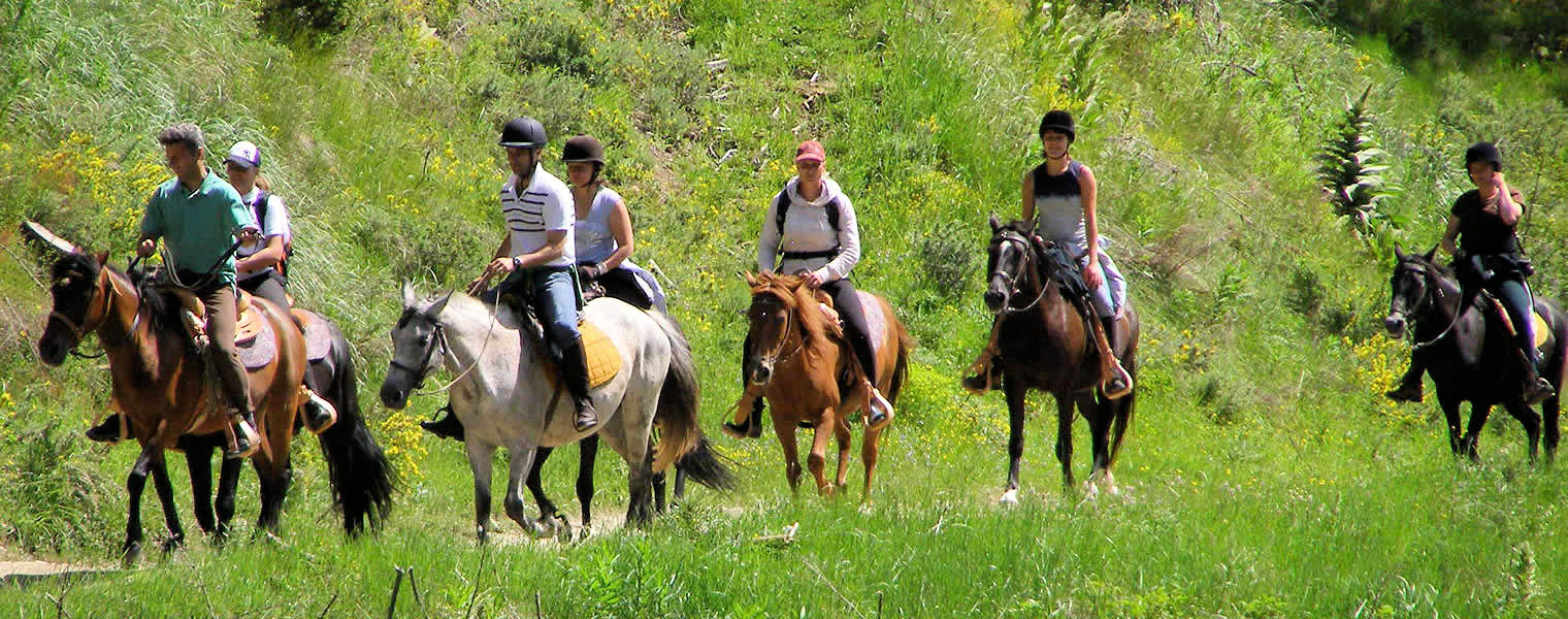 Верховые прогулки на лошадях bodrum Tury