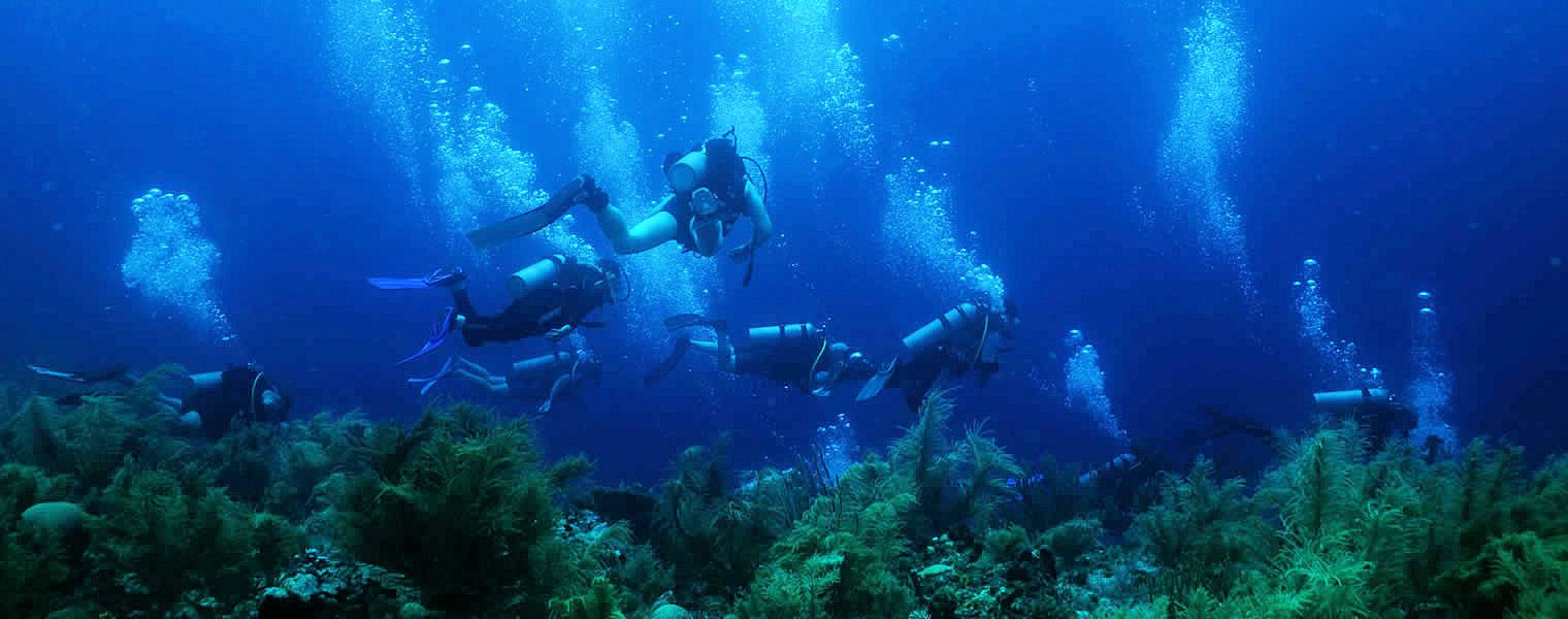 Скуба Дайвинг bodrum Tury